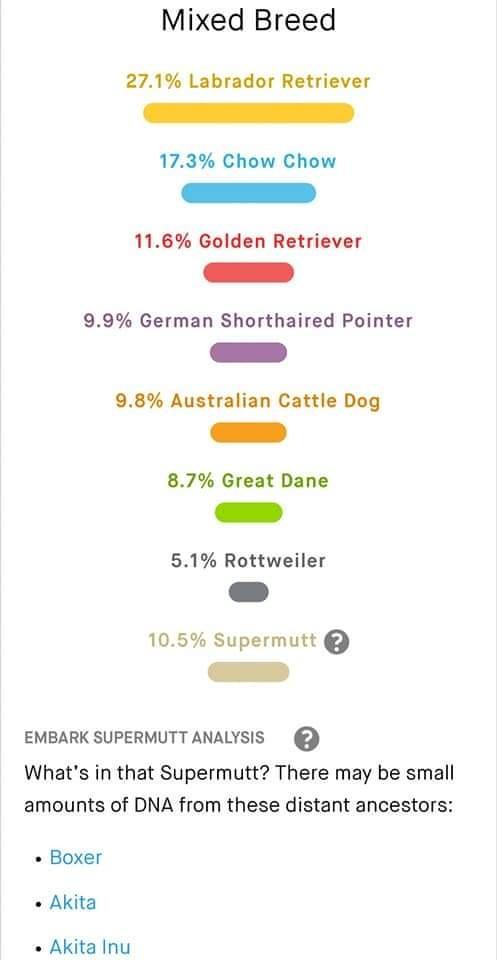 Enlarge Rowena, a Adoptable mixed breed in Indianola, IA image 1/6