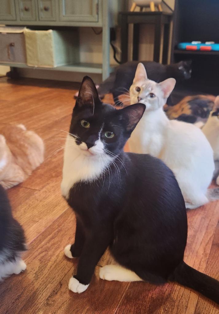 Sloane — thumbnail 2