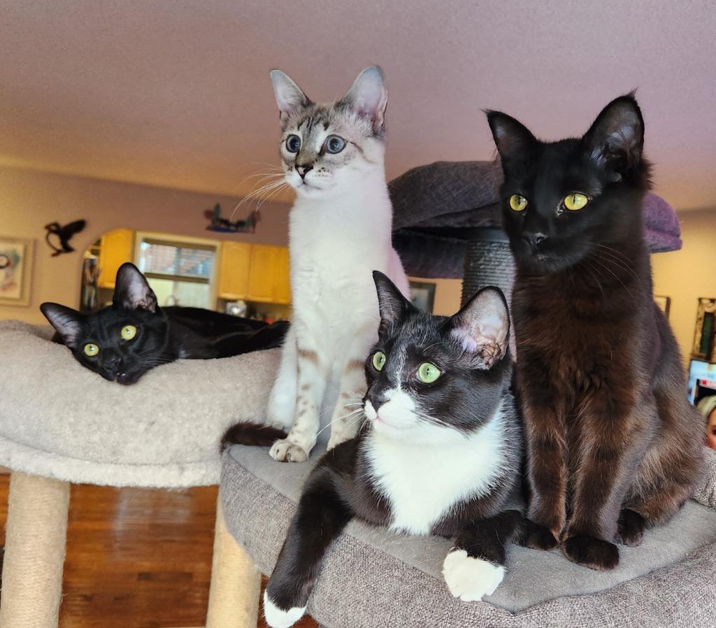 Sloane — thumbnail 4