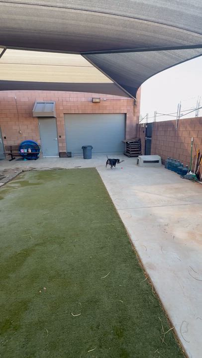 Enlarge Mia, a ADOPTABLE mixed breed in Boulder City, NV video 5/5