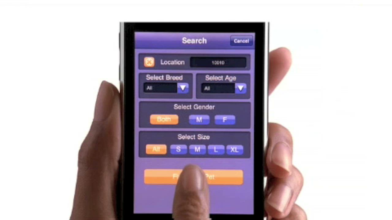 Enlarge Buckett, a Adoptable  in Bettles, AK video 4/8