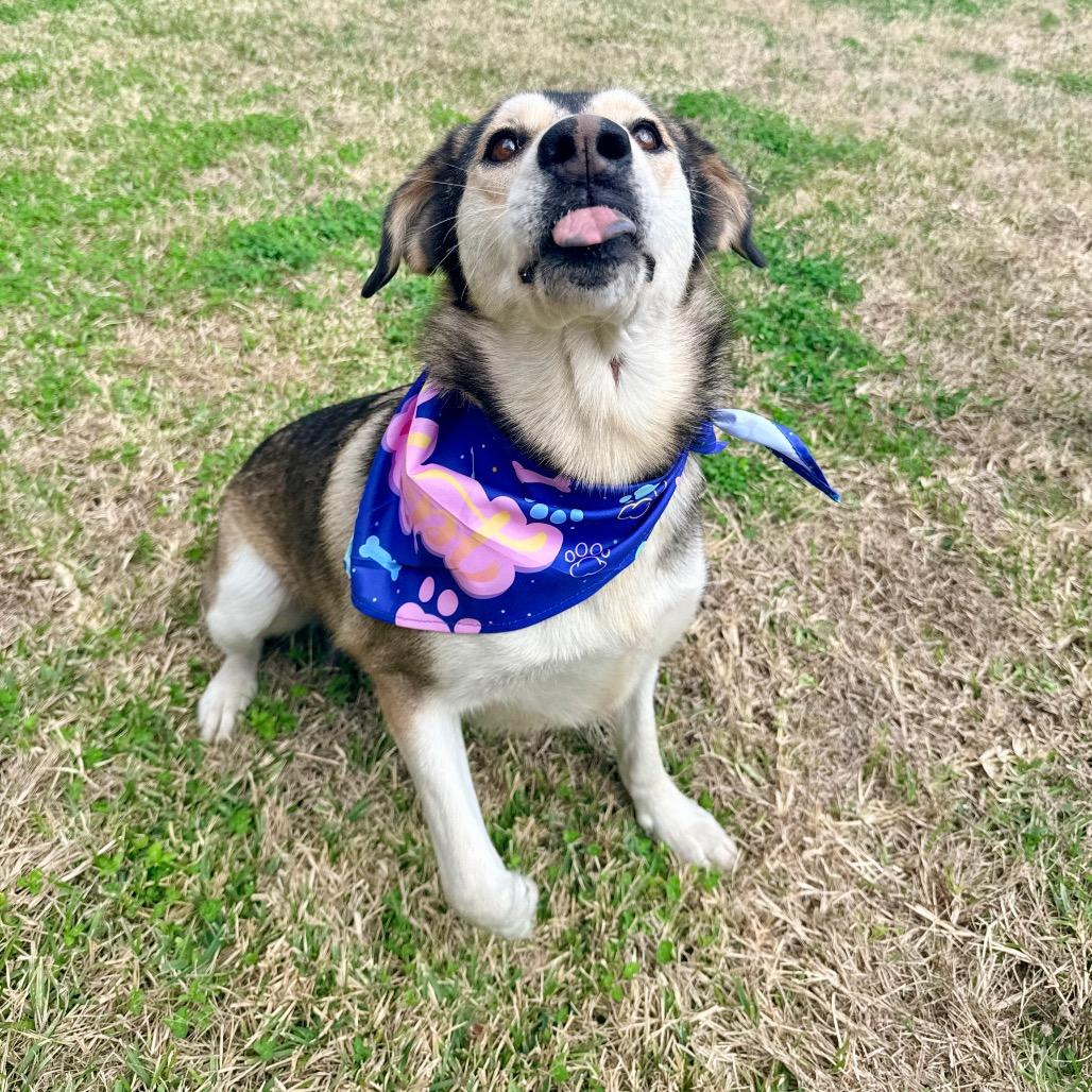 Montana — thumbnail 3