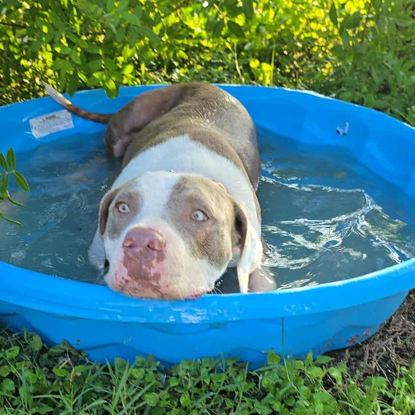 Felicity — thumbnail 2