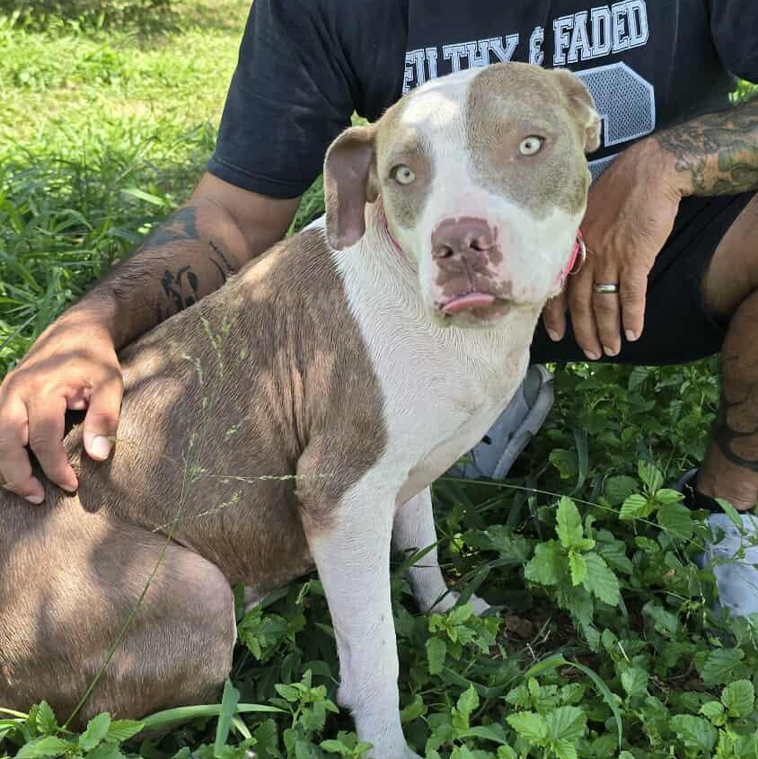 Felicity — thumbnail 3