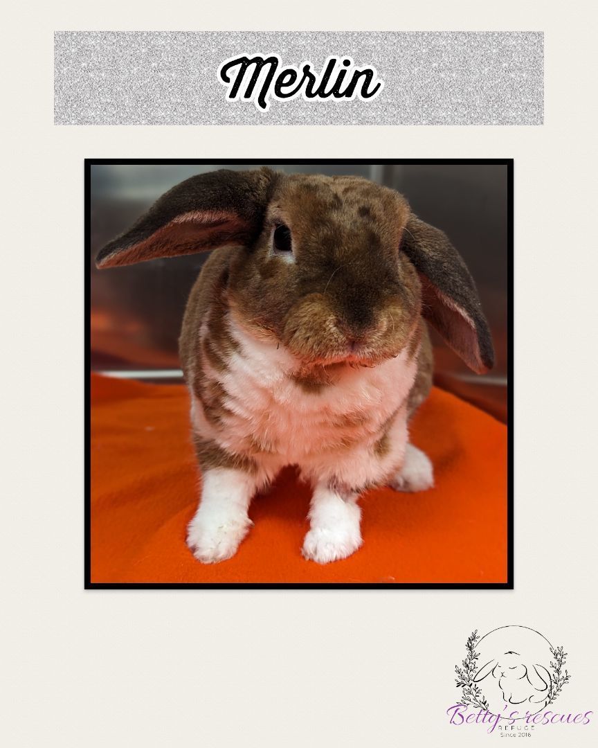 Merlin