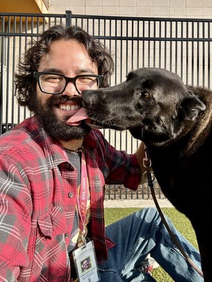 Enlarge Ace, a Adoptable mixed breed in Wichita, KS image 3/3