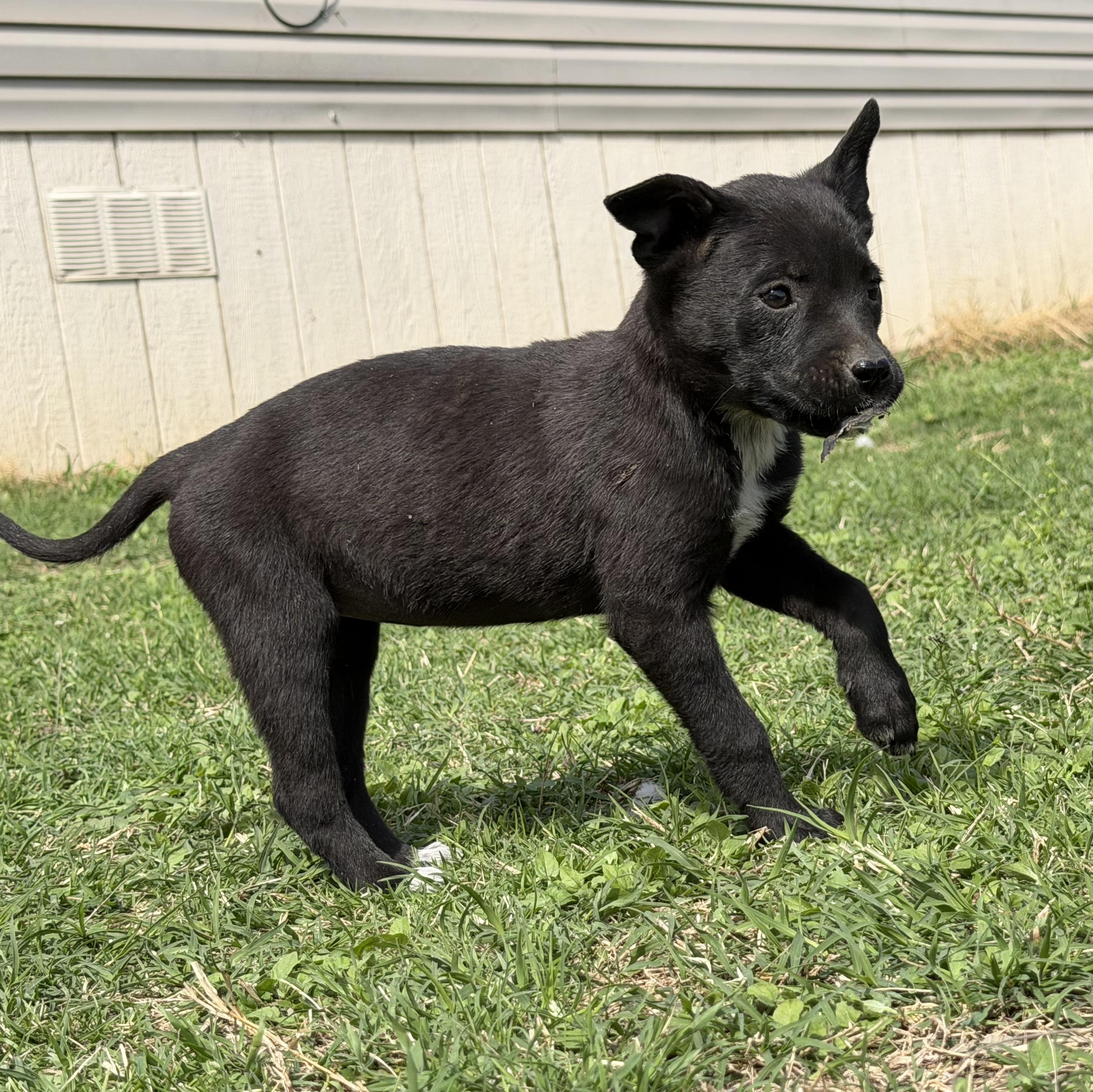 Aquarius — thumbnail 5