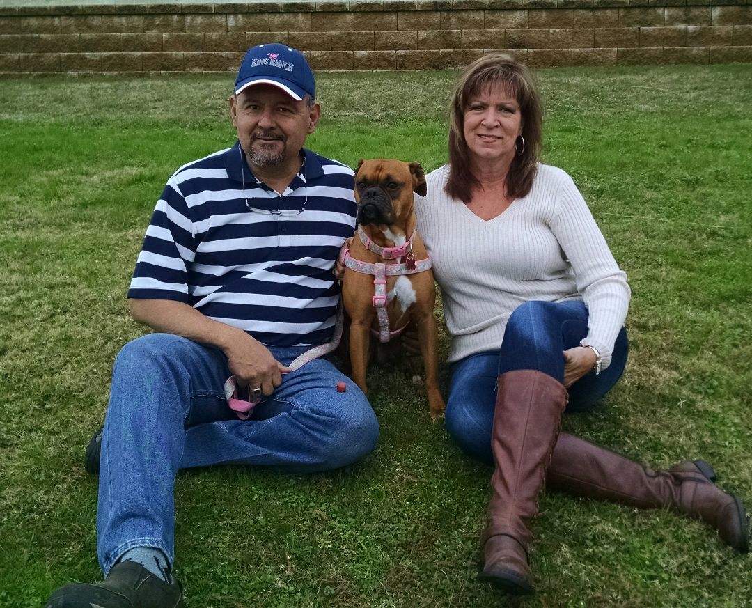 Enlarge Kendall now Stella, a Adopted Boxer in Texarkana, TX image 2/4