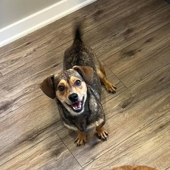 Thumbelina thumbnail 3