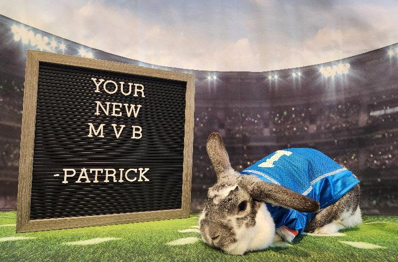 Enlarge Patrick, a Adoptable English Spot in Columbus, OH image 2/2