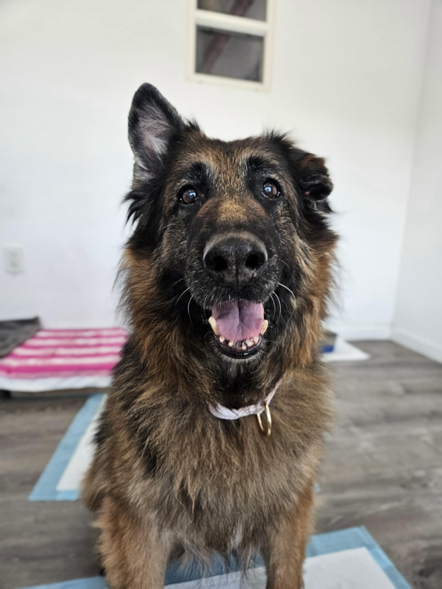 Aimee, Senior Female unknown