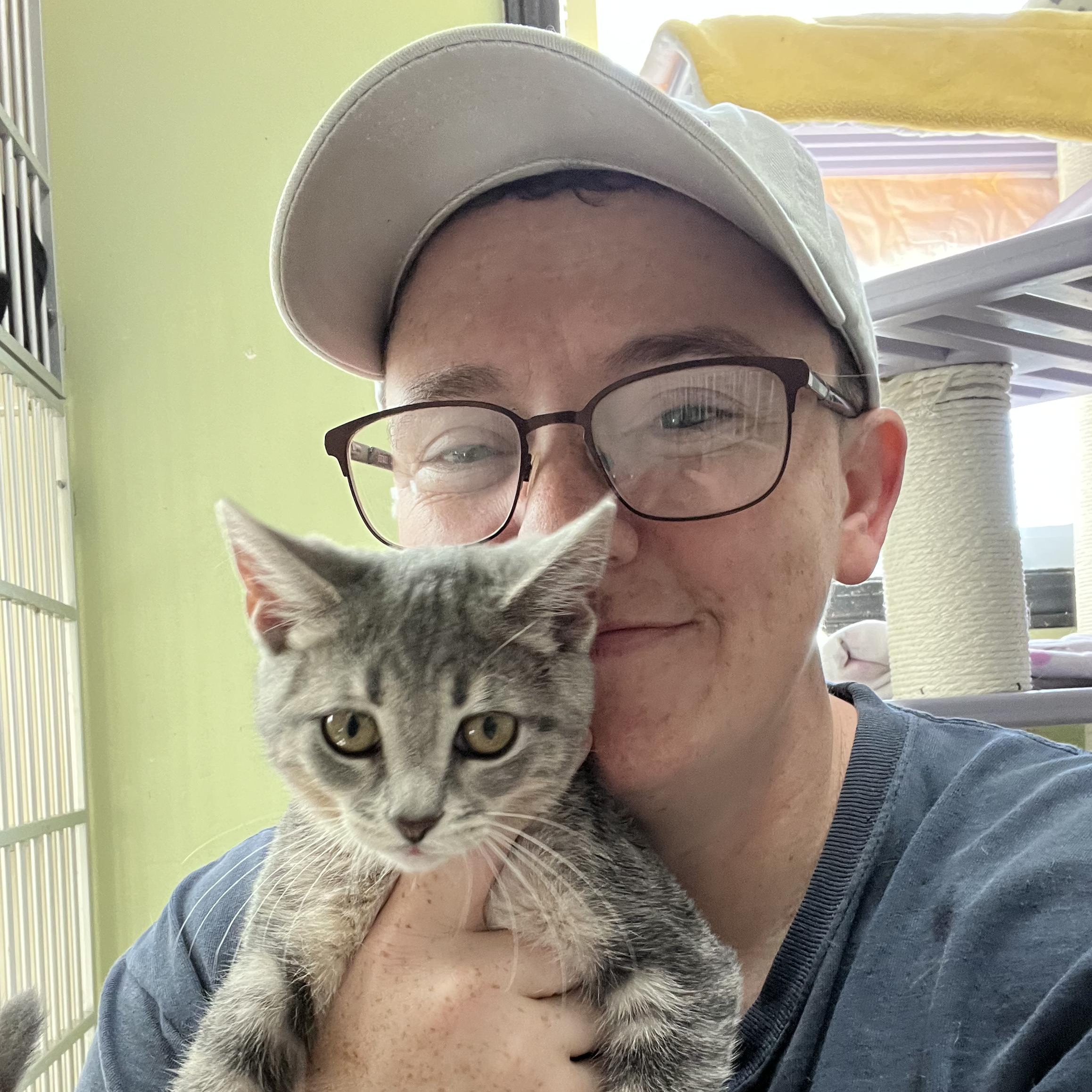 Enlarge CiCi - Bonded with Callie, a Adoptable Domestic Short Hair in West Jefferson, OH image 2/6