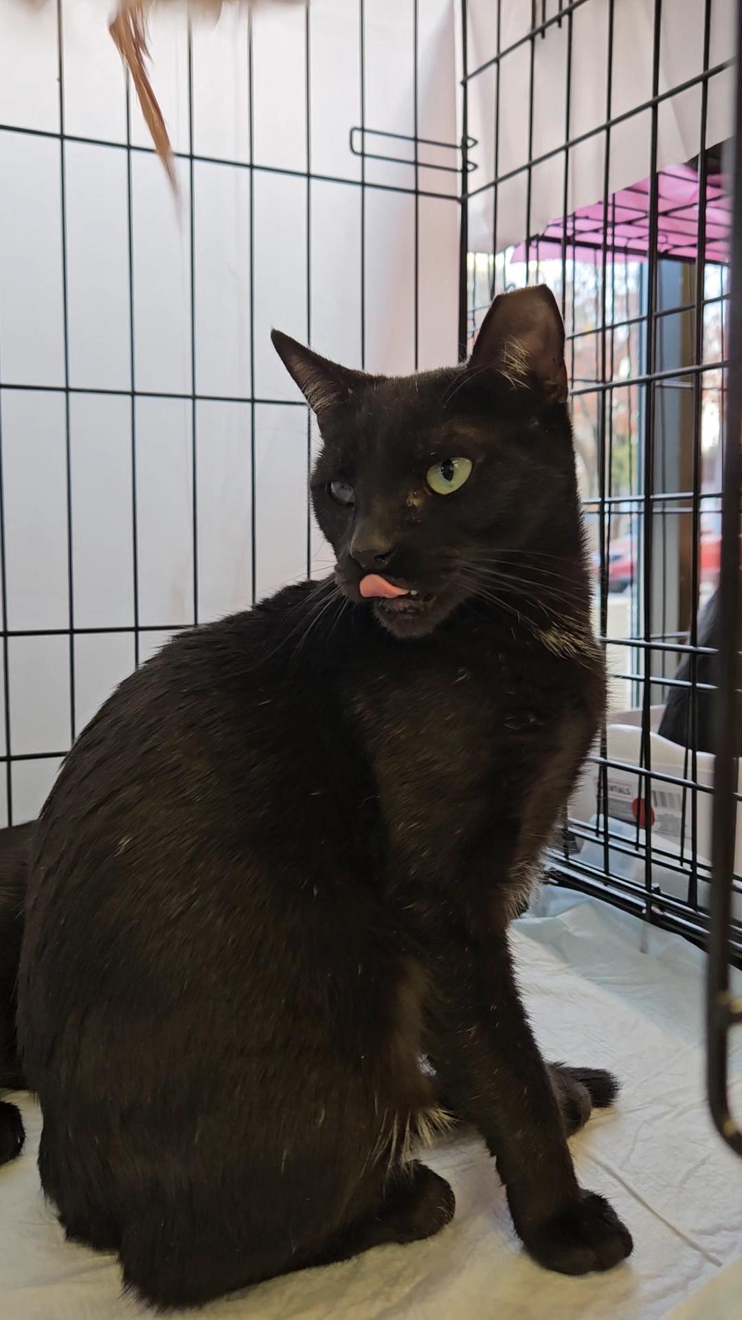 BIRDIE N - unique beauty