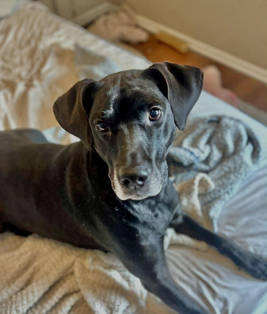 Coco — thumbnail 2