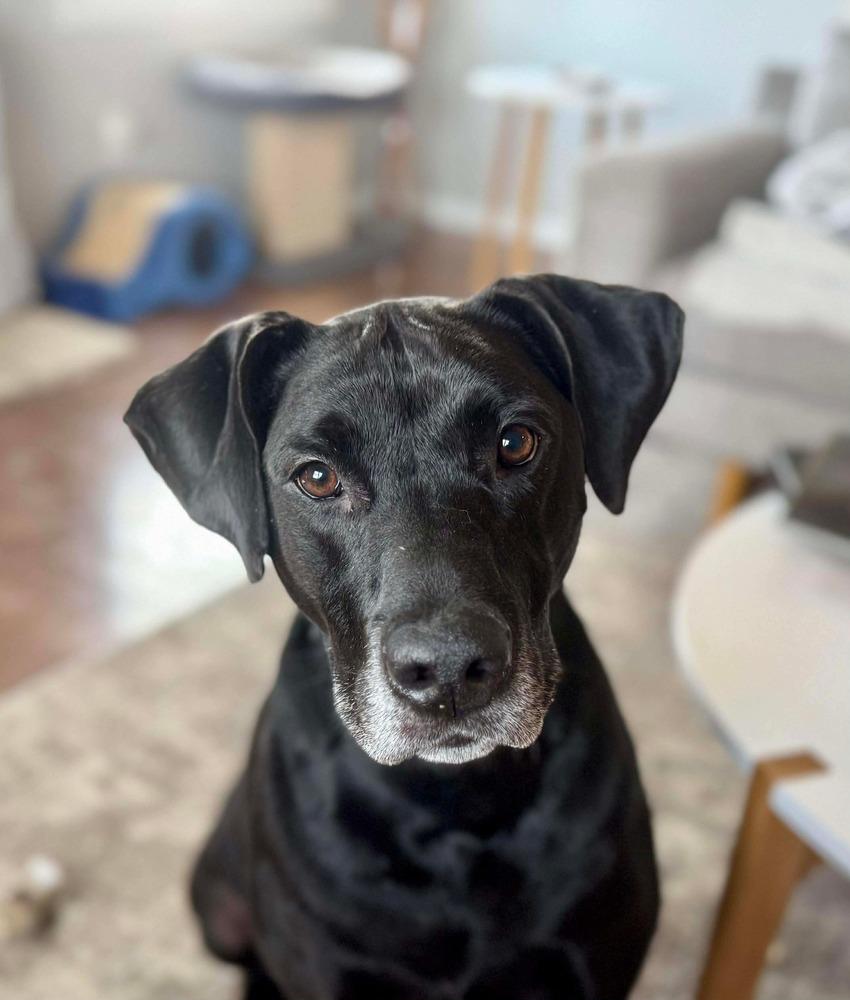 Coco — thumbnail 6