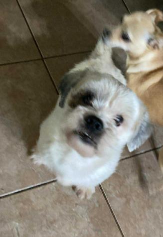 Clyde In Tx thumbnail 2