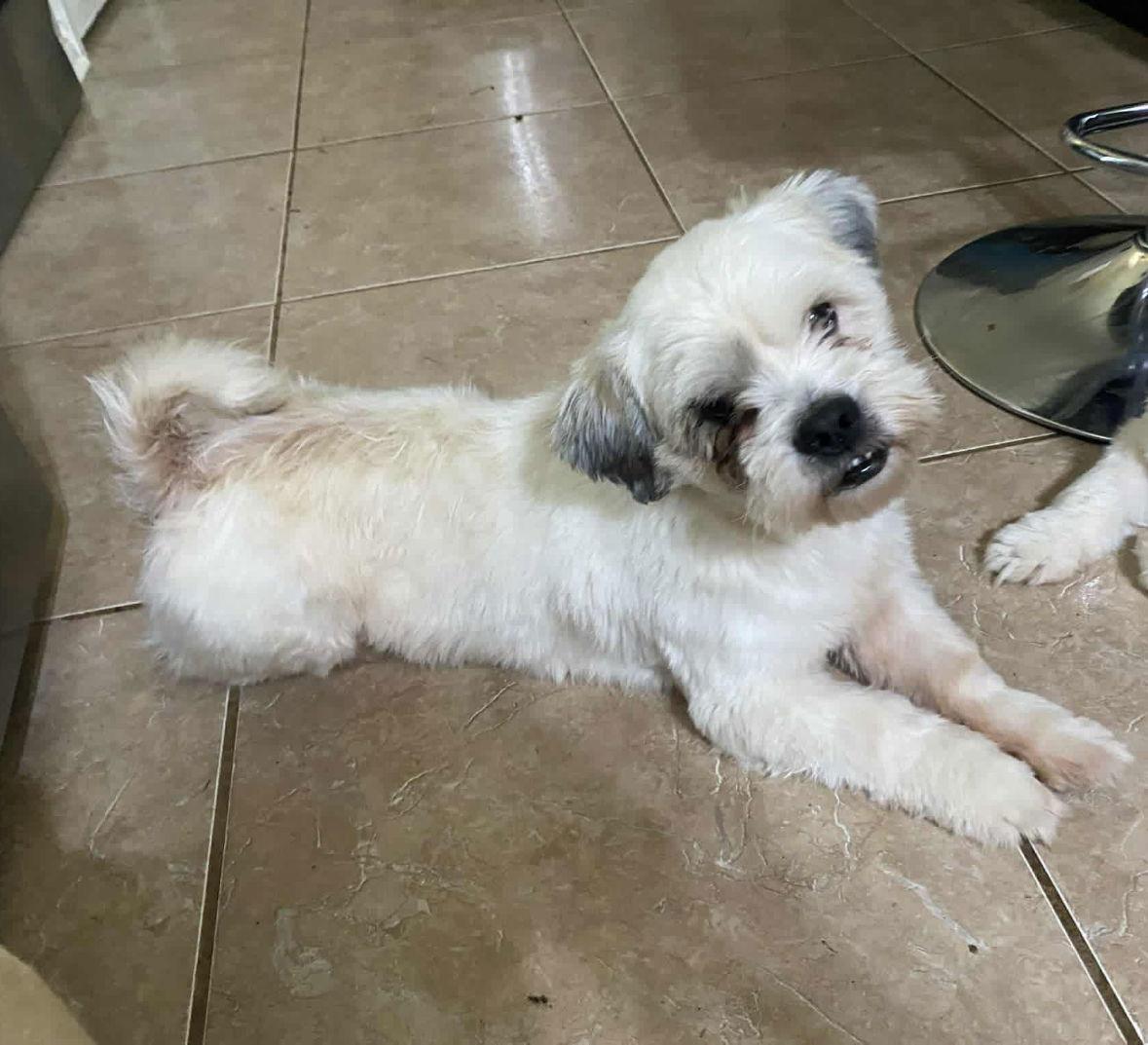 Clyde In Tx thumbnail 3