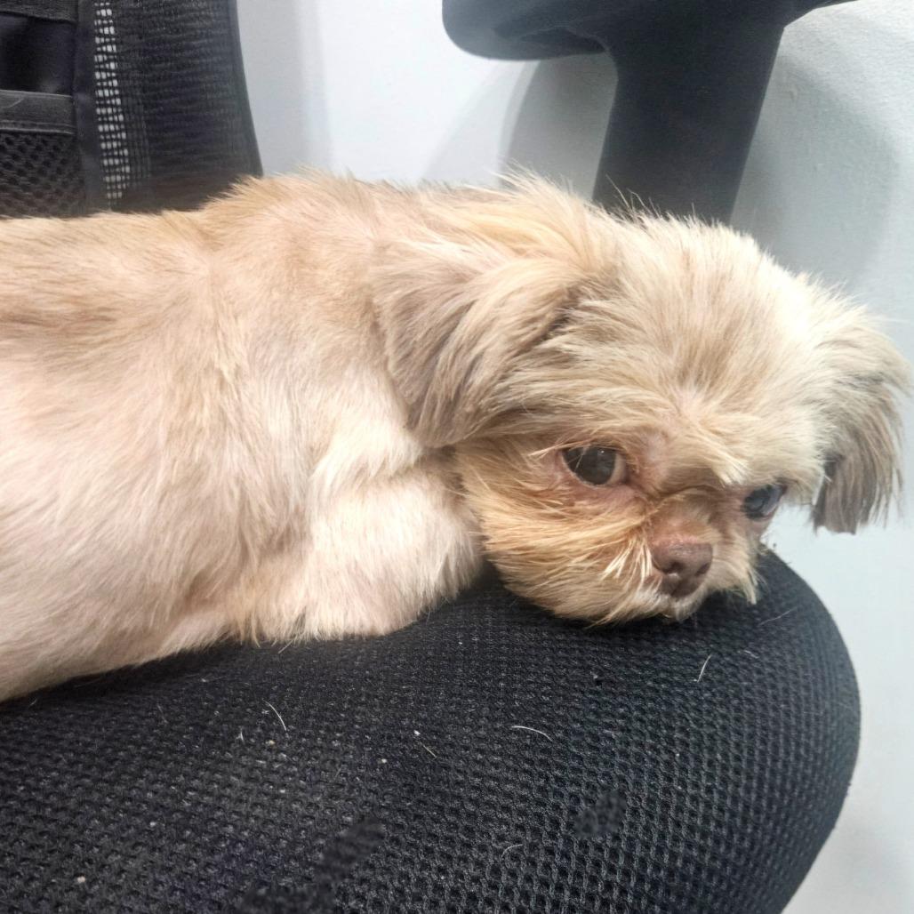 Chrissy — thumbnail 4