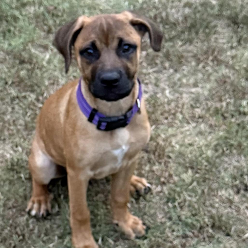 ELISE — thumbnail 2