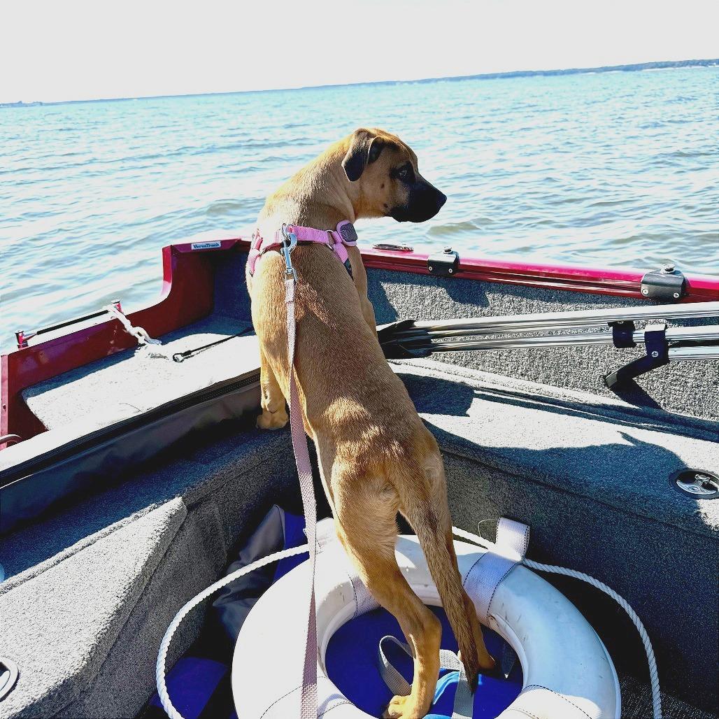 ELISE — thumbnail 4