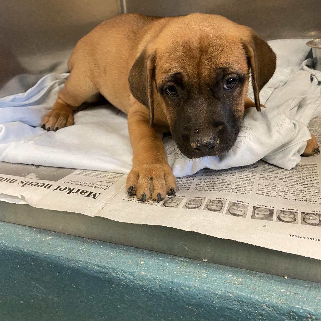 ELISE — thumbnail 5