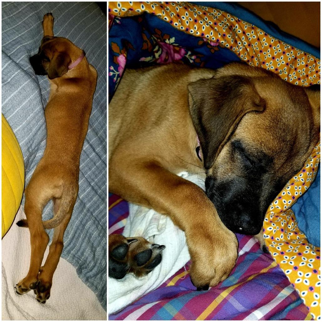 ELISE — thumbnail 6