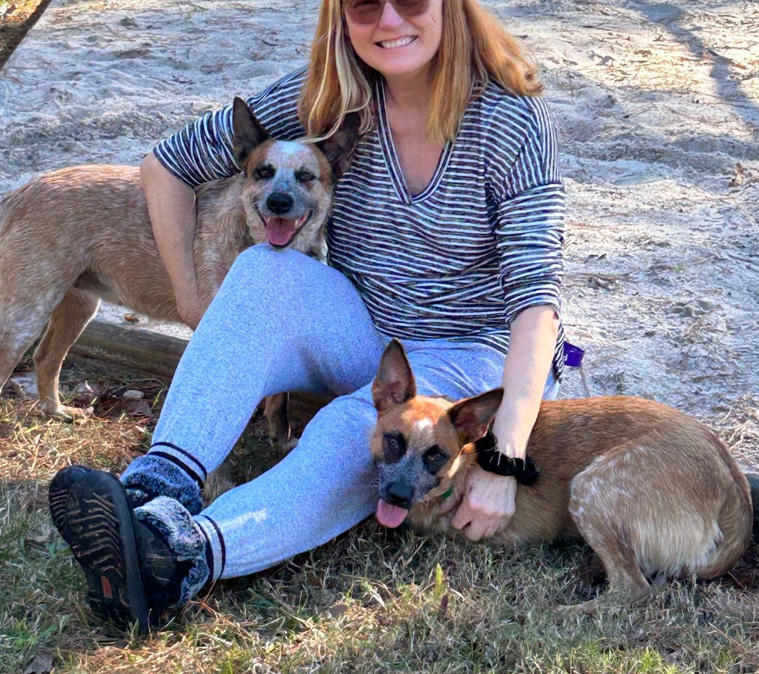 Scarlet, an adopted Australian Cattle Dog / Blue Heeler in Rockdale, TX image 5/6