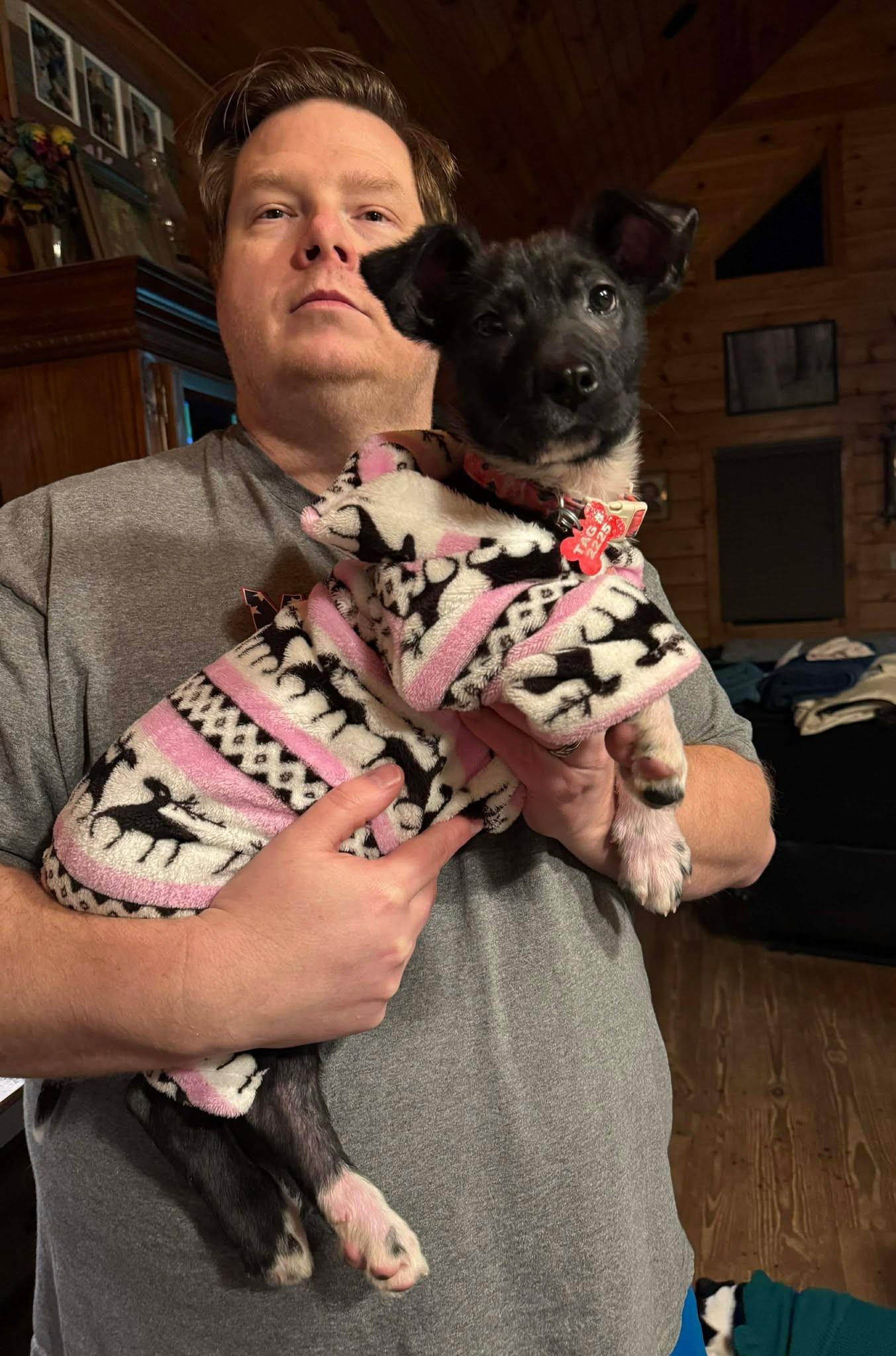 Enlarge Graffin, an adopted mixed breed in Kiowa, OK image 2/6