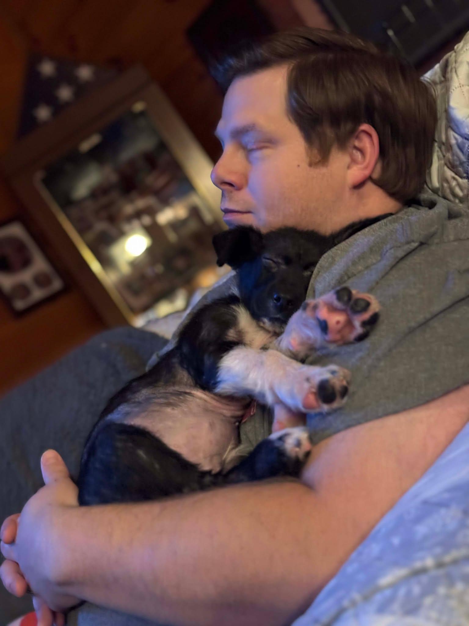 Enlarge Graffin, an adopted mixed breed in Kiowa, OK image 6/6