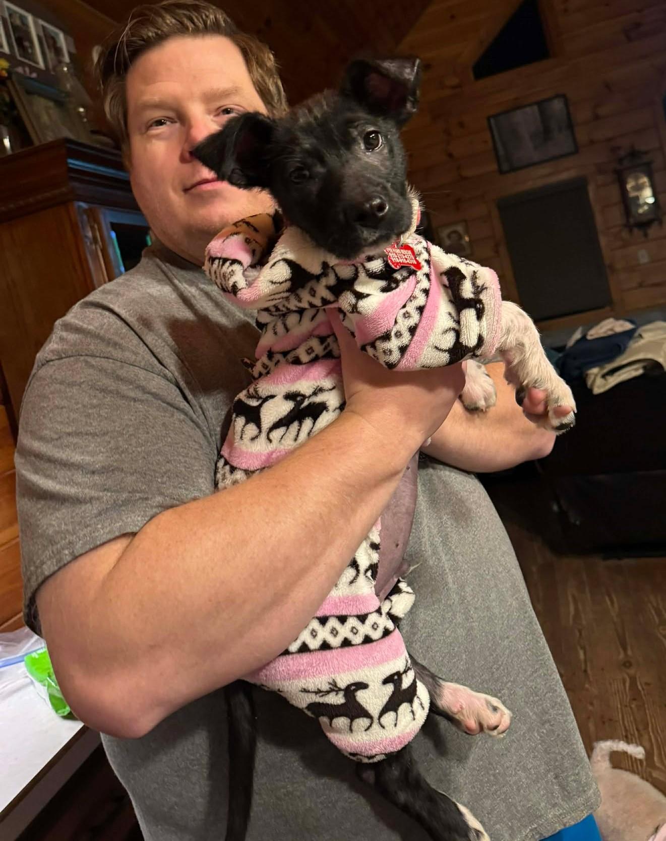 Enlarge Graffin, an adopted mixed breed in Kiowa, OK image 4/6