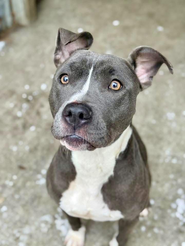 Luba — thumbnail 3