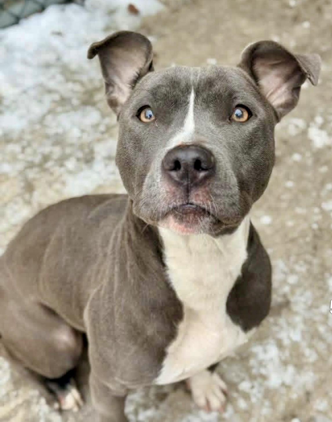 Luba — thumbnail 4