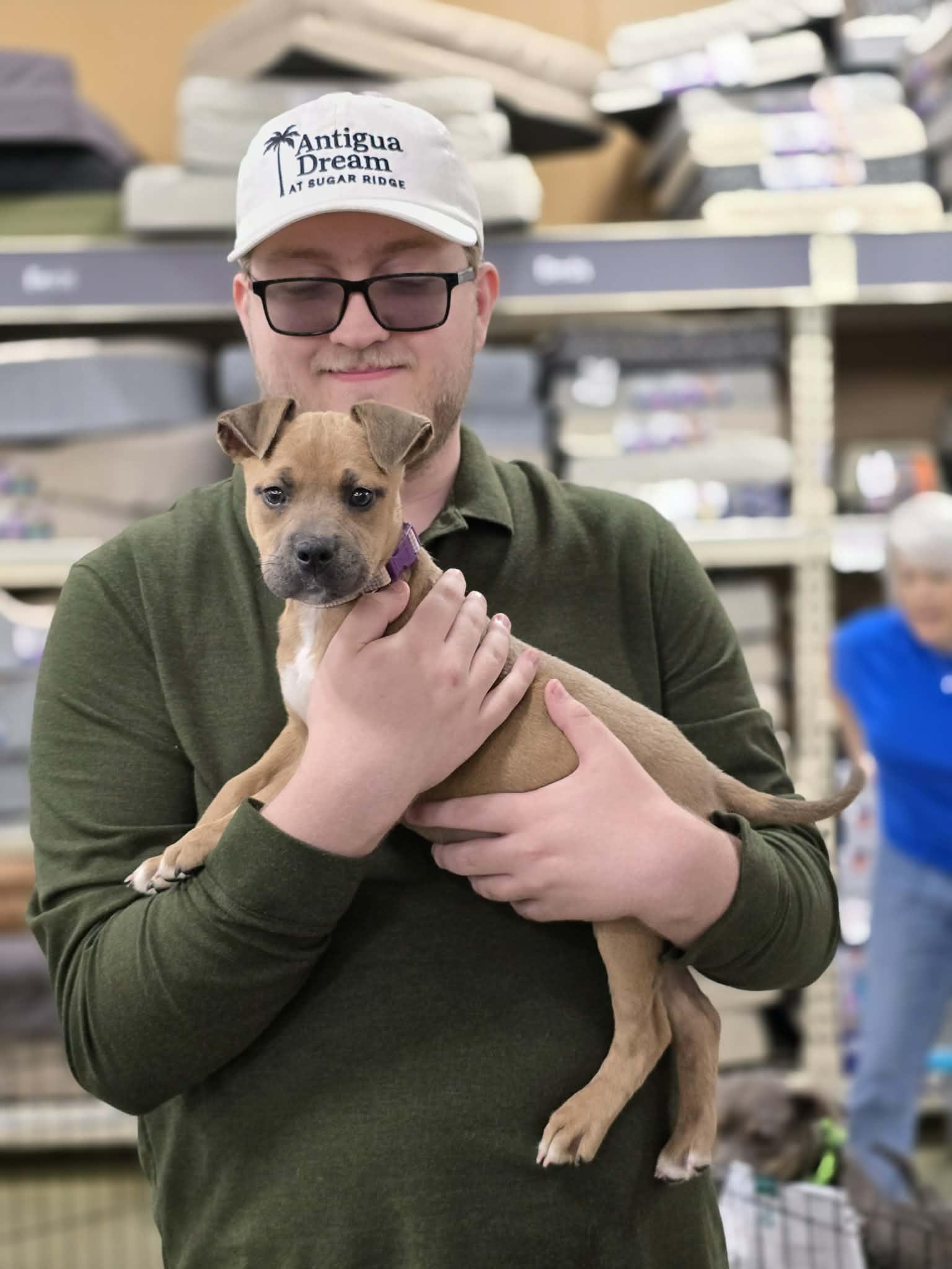 Enlarge Reily, an adoptable mixed breed in Bishop, GA image 4/6
