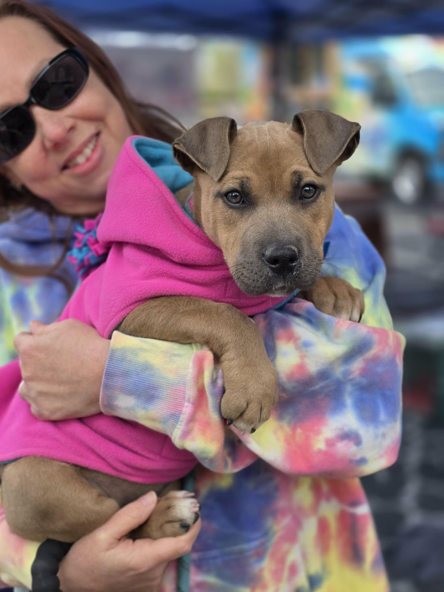 Enlarge Reily, an adoptable mixed breed in Bishop, GA image 1/6