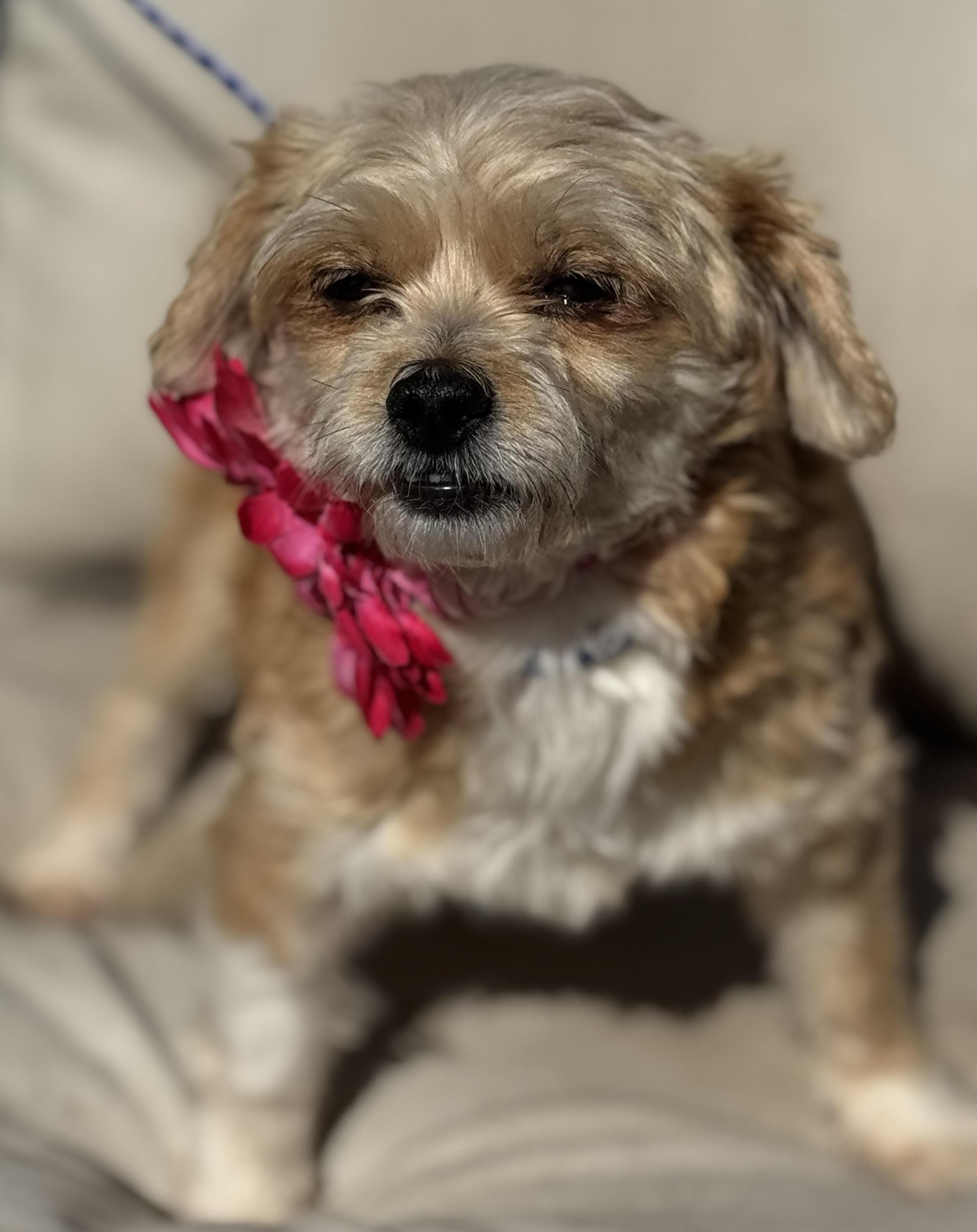 Rhonda