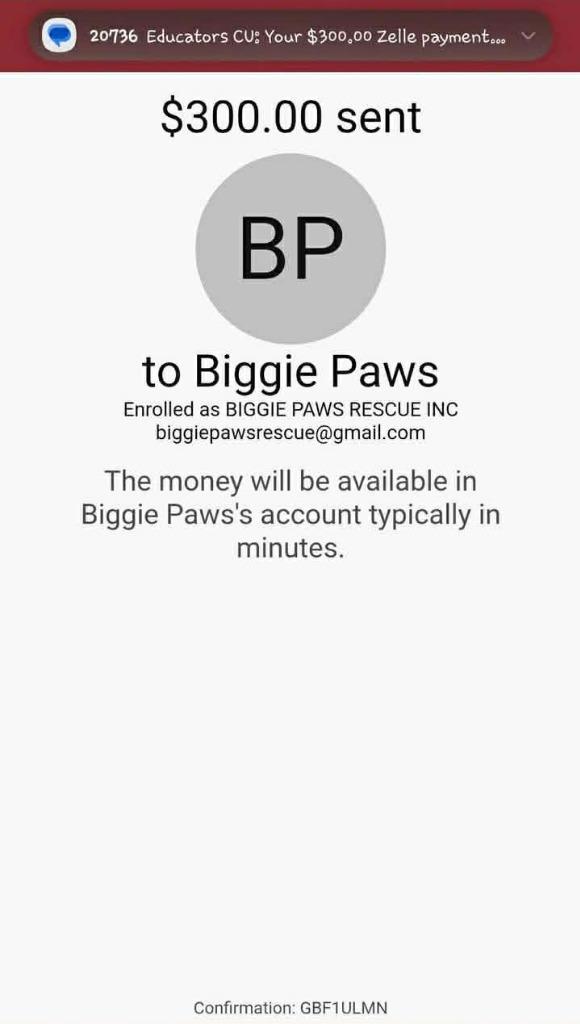 Enlarge Dove, a Adopted mixed breed in Bristol, WI image 3/6