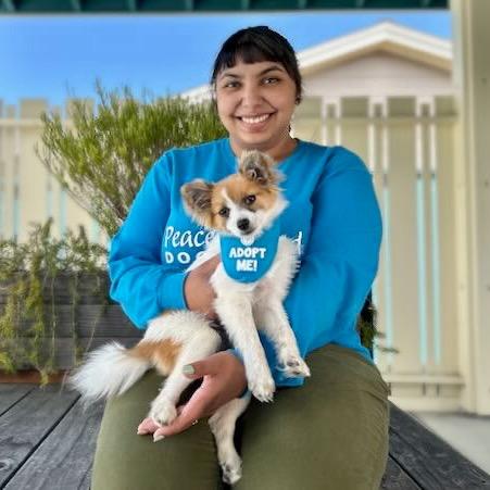 Bindi — thumbnail 5