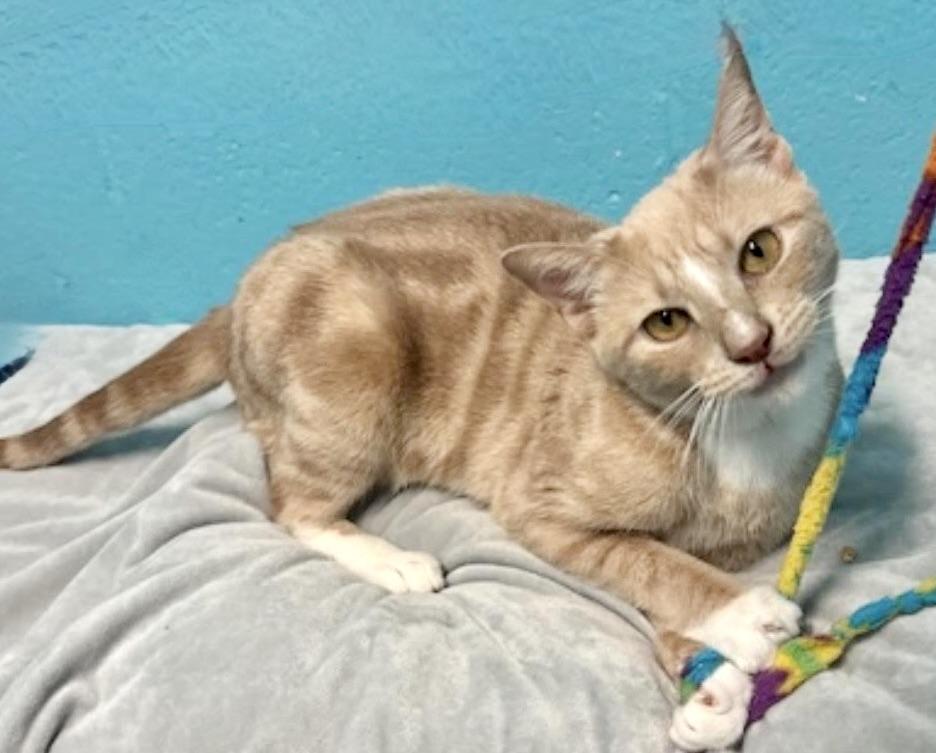 Puma Thurman photo 3