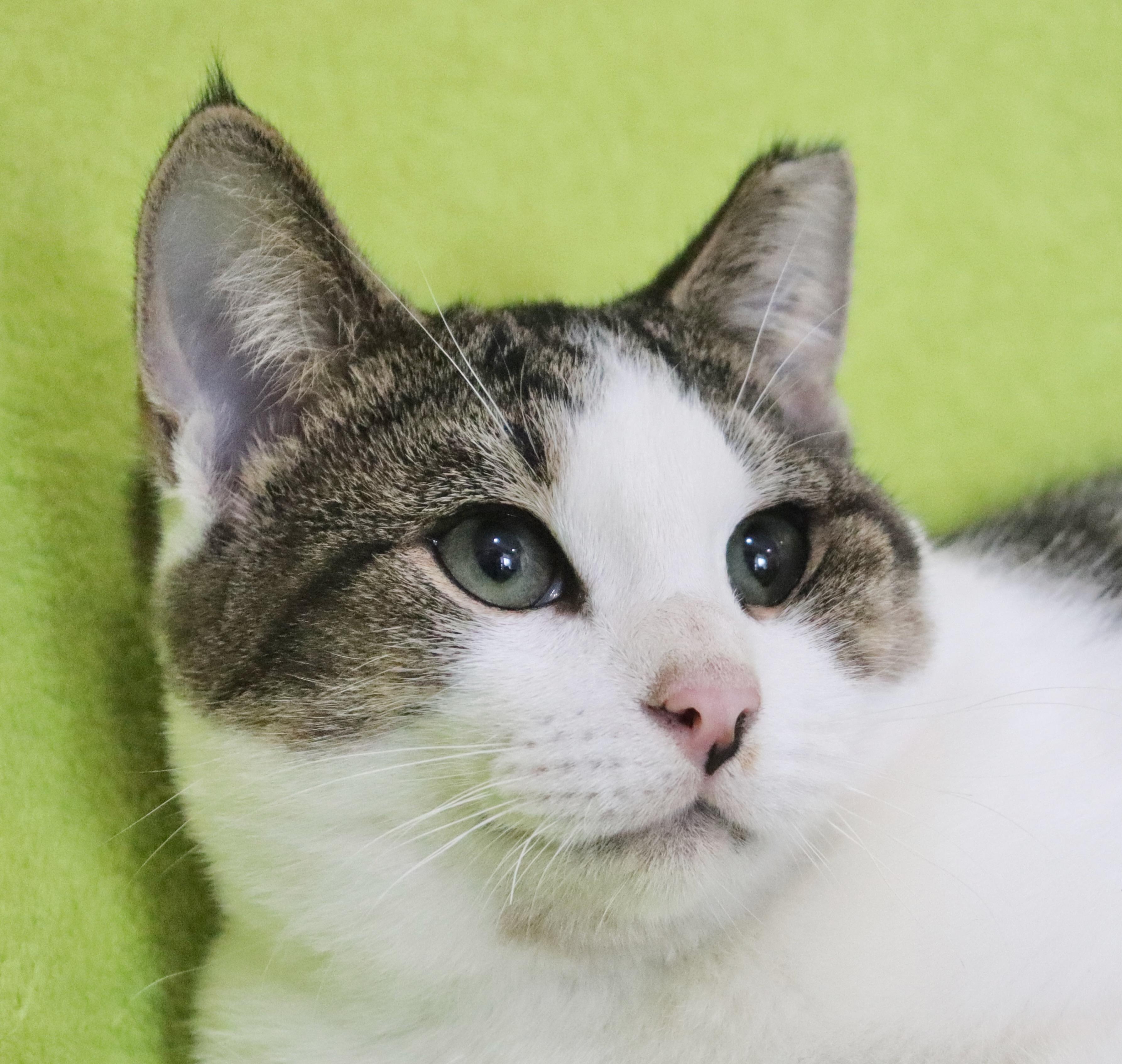 Sheldon photo 2