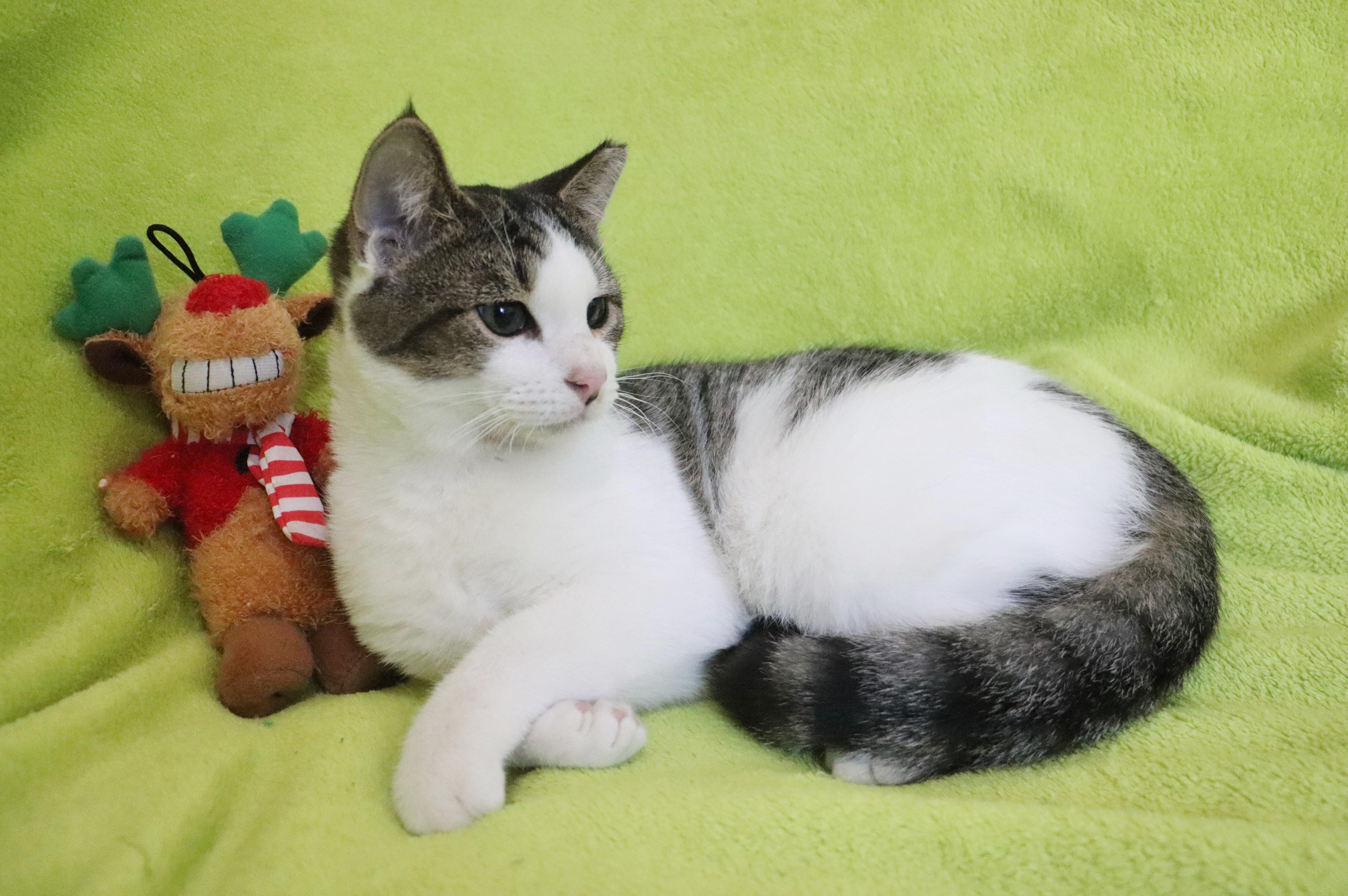 Sheldon photo 5