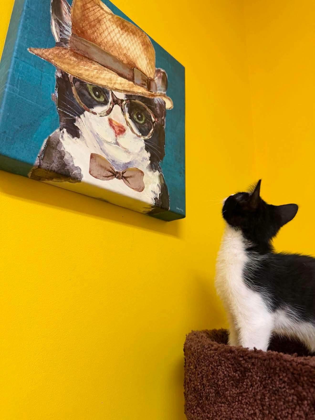 Moo, a Adoptable Domestic Short Hair in Buford, GA image 3/6