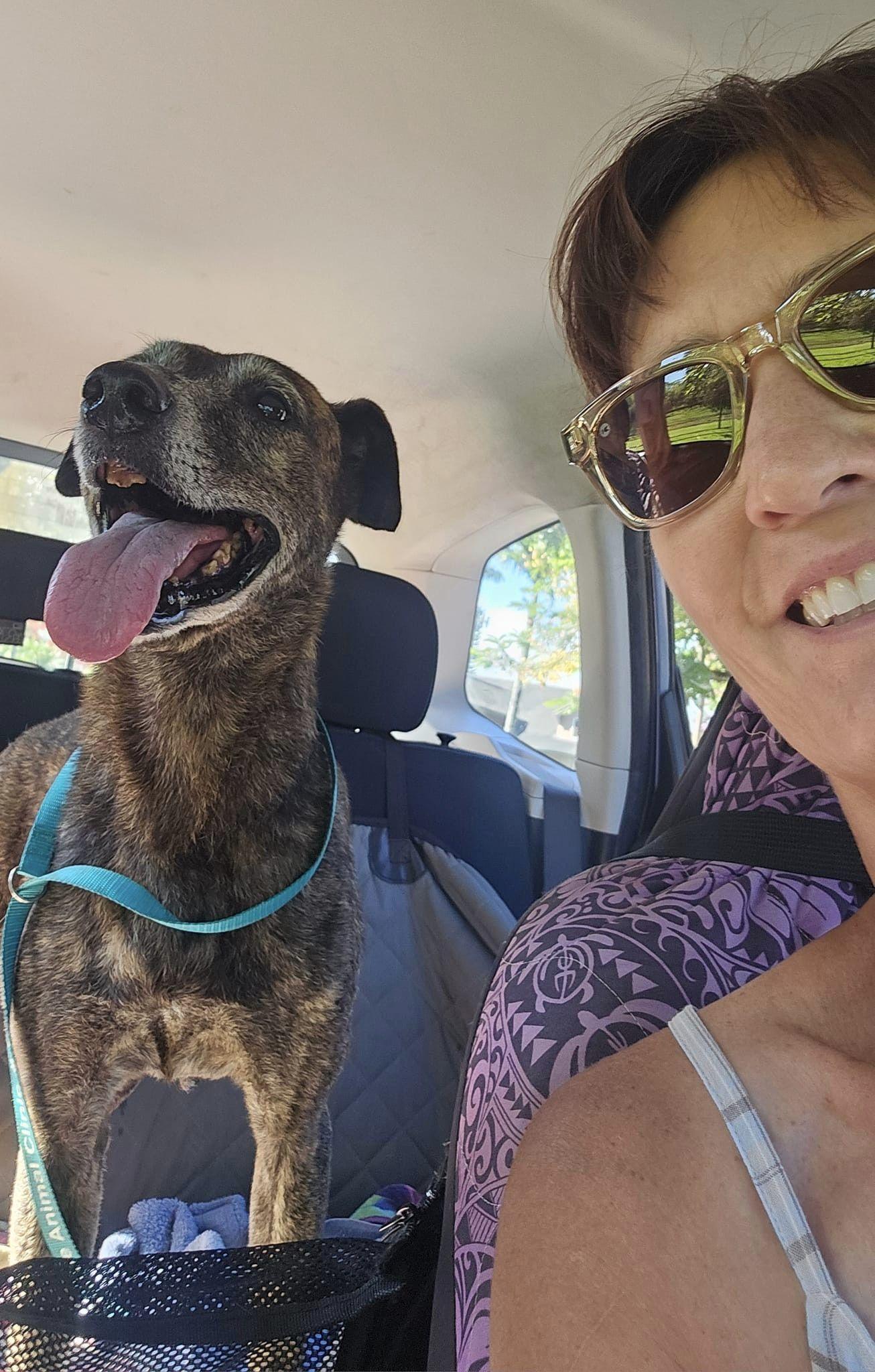 Maile, a Adoptable mixed breed in Kapaa, HI image 3/4