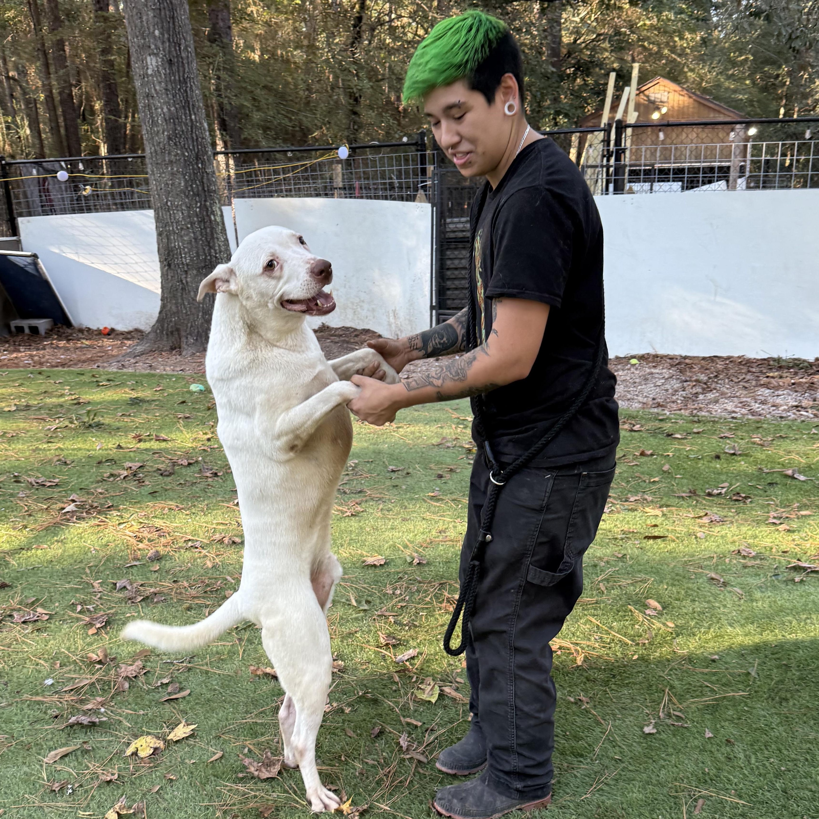 Casanova — thumbnail 6