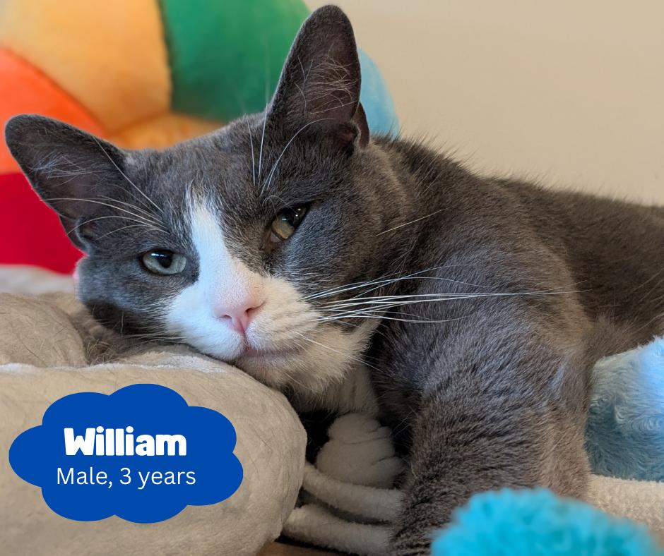William