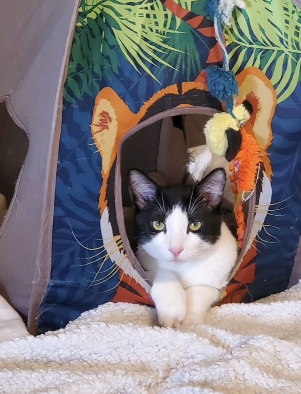 Hoop & Yoyo Bonded Pair