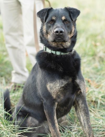 Booker — thumbnail 2