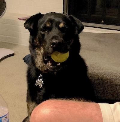 Booker — thumbnail 3