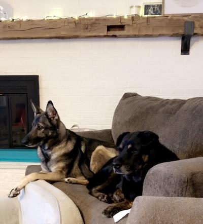 Booker — thumbnail 6