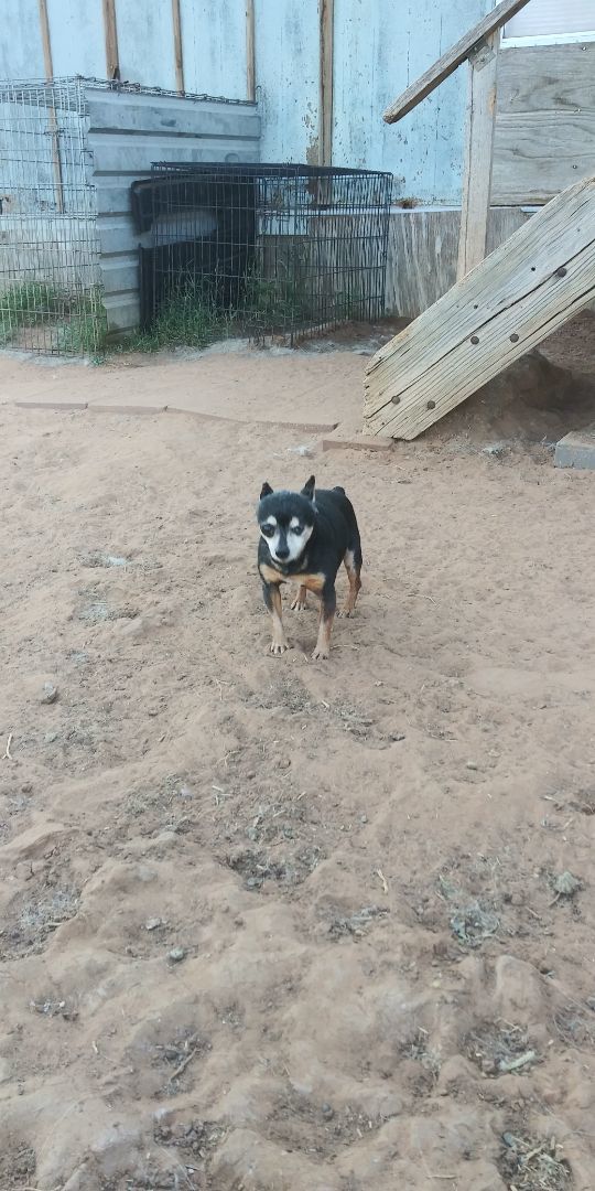 Berny — thumbnail 2