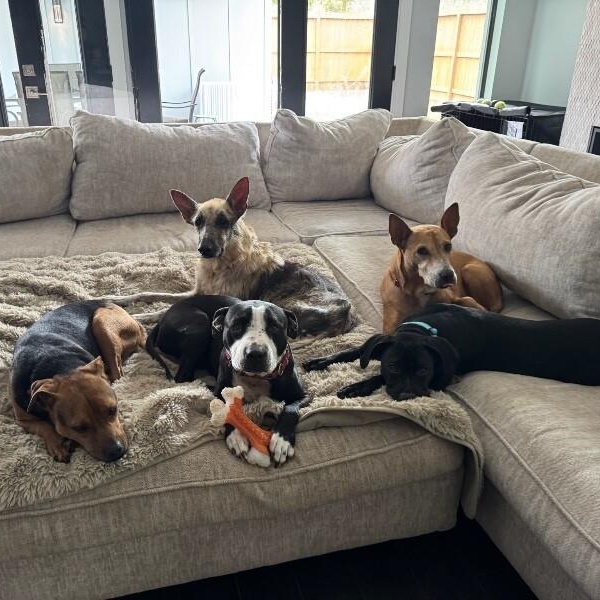 Zora Cozy Concierge — thumbnail 2